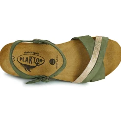 Online Plakton - NORTE