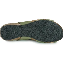 Online Plakton - NORTE