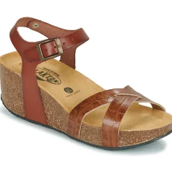 Plakton - SO FINAL Cognac