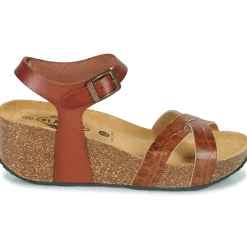 Plakton - SO FINAL Cognac