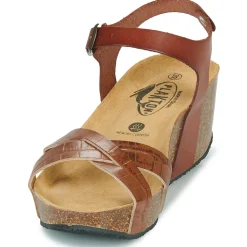 Plakton - SO FINAL Cognac