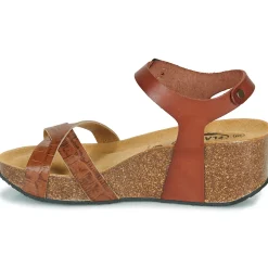 Plakton - SO FINAL Cognac