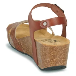 Plakton - SO FINAL Cognac