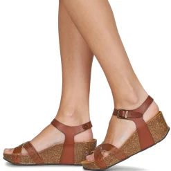 Plakton - SO FINAL Cognac