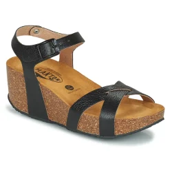 Plakton - SO_FINAL Noir