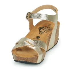 Clearance Plakton - SO FINAL Doré