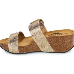 Outlet Plakton - SO ROCK Doré