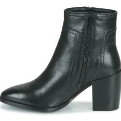 New Ravel - FOSSA Noir