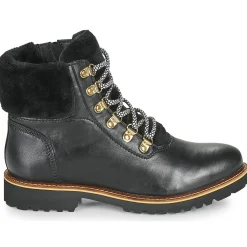 Online Ravel - PINAR Noir