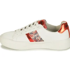 Discount Refresh - 69954