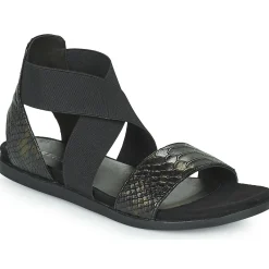 Hot Regard - BONNO V1 BOA BRONZE Noir