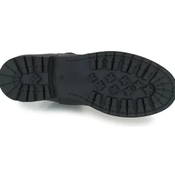 New Regard - CALES Noir