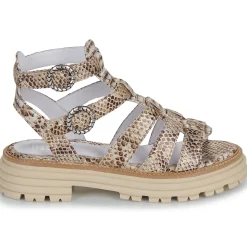 Hot Regard - CLEO Multicolore