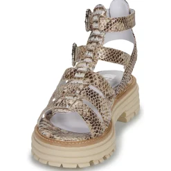 Hot Regard - CLEO Multicolore