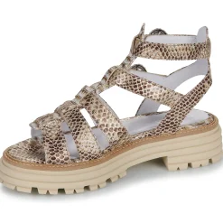 Hot Regard - CLEO Multicolore