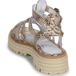 Hot Regard - CLEO Multicolore