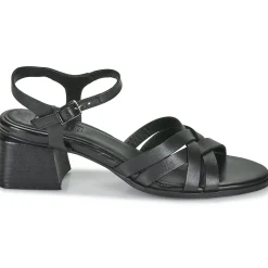 New Regard - ET.EPI CRUST BLACK 2203 Noir