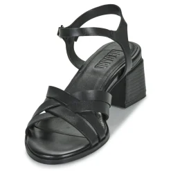 New Regard - ET.EPI CRUST BLACK 2203 Noir