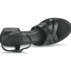 New Regard - ET.EPI CRUST BLACK 2203 Noir