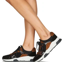 Online Regard - KENO