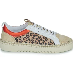 New Regard - LUCIE Multicolore