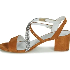 Clearance Regard - REFTA V1 ANTE CAMEL Marron