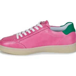 Online Remonte - D2C02-31