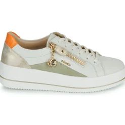 Online Remonte - D1C01-81