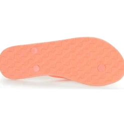 Hot Roxy - VIVA IV Corail