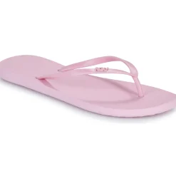 Clearance Roxy - VIVA IV Rose