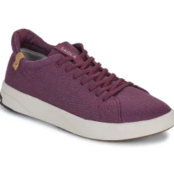 Saola - CANNON KNIT 2.0 WOOL Bordeaux