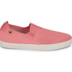 Clearance Saola - VIRUNGA Rose