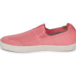 Clearance Saola - VIRUNGA Rose