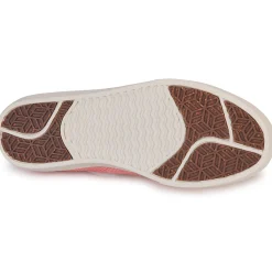 Clearance Saola - VIRUNGA Rose