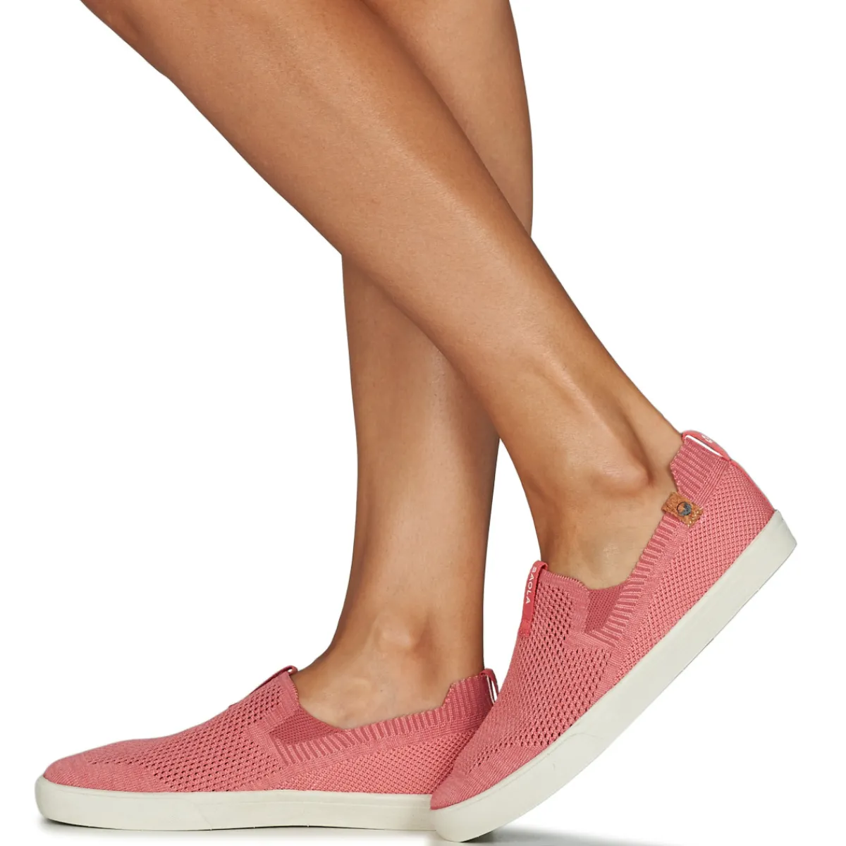 Clearance Saola - VIRUNGA Rose