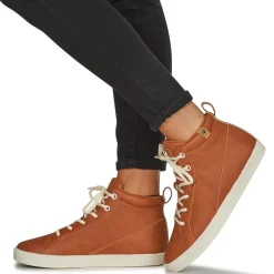 Best Saola - WANAKA Marron