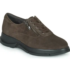 Discount Scholl - BRISTOL ZIP Marron