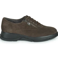 Discount Scholl - BRISTOL ZIP Marron