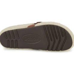 Hot Scholl - CHARLOTTE