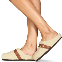 Hot Scholl - CHARLOTTE