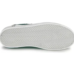 Online Semerdjian - ALE Vert