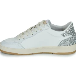 Online Semerdjian - DANY