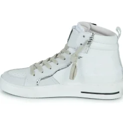 Clearance Semerdjian - MARAL