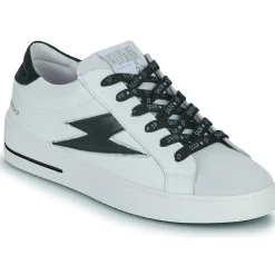 Online Semerdjian - MAYA