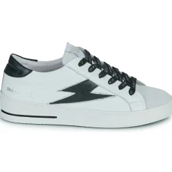 Online Semerdjian - MAYA