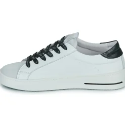 Online Semerdjian - MAYA