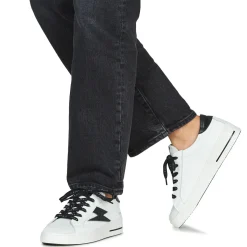 Online Semerdjian - MAYA