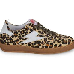 Discount Semerdjian - RISY