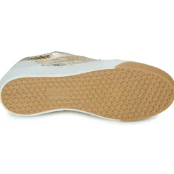 Clearance Semerdjian - TALINE