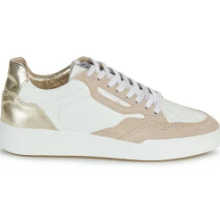 Clearance Semerdjian - THOR